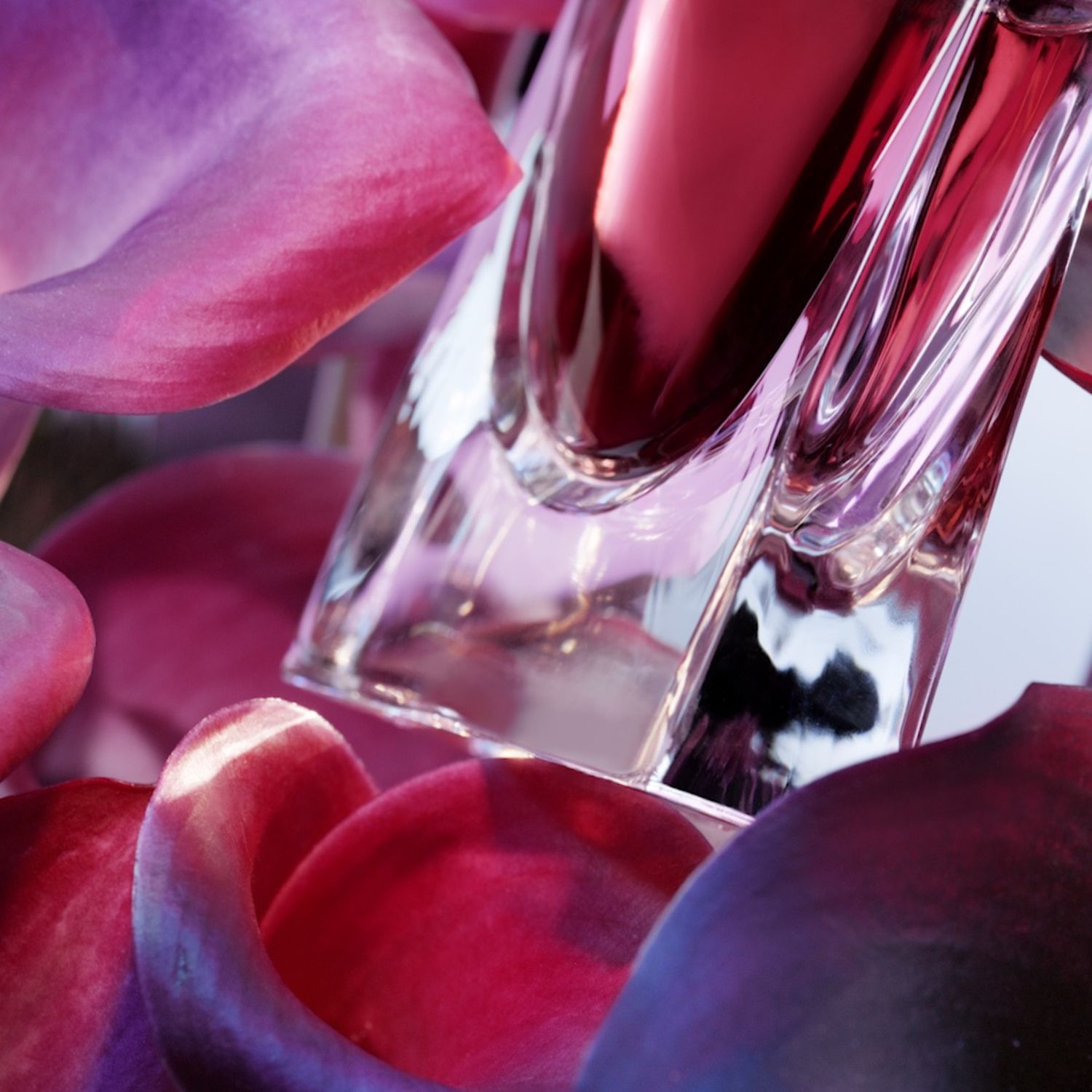 La vie est belle L'Elixir  Eau de Parfum