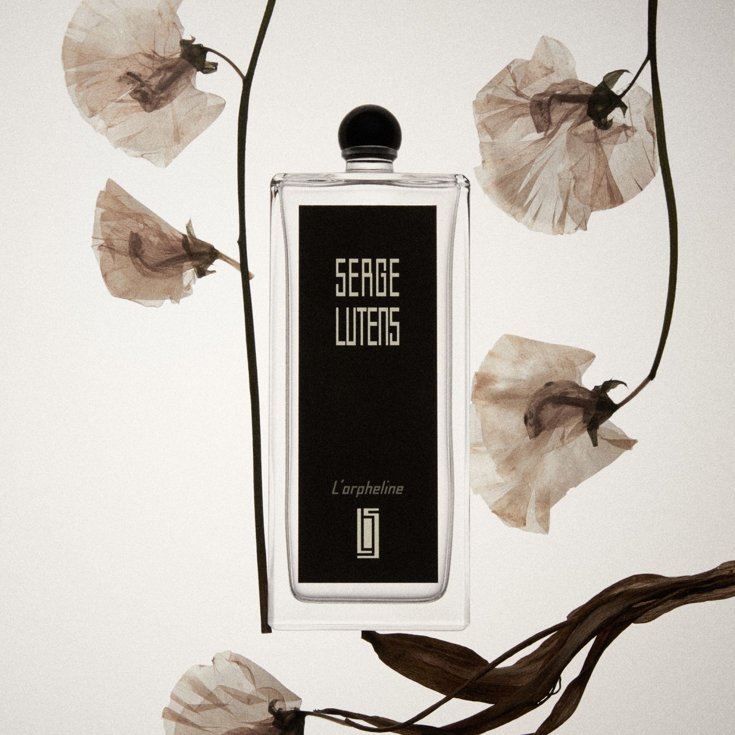 Lorpheline EDP 100ml