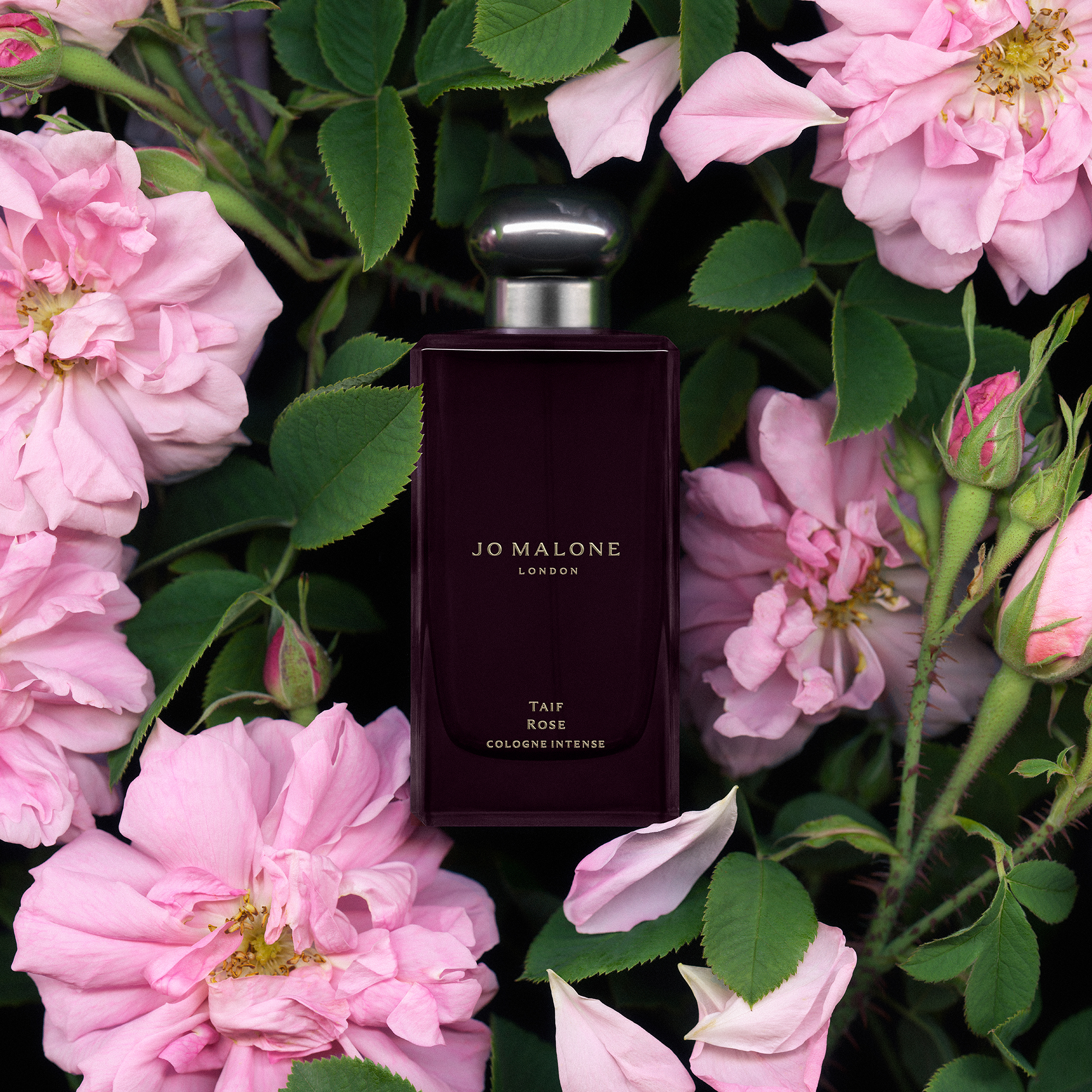 Taif Rose Cologne Intense 100ml PP