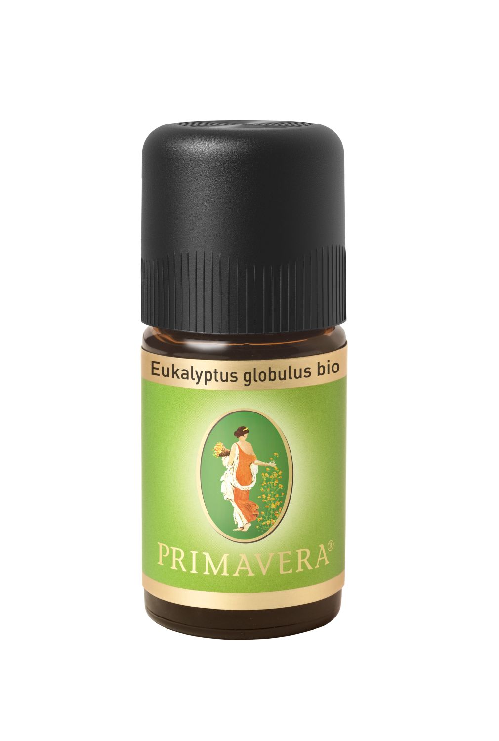 Eukalyptus globulus bio