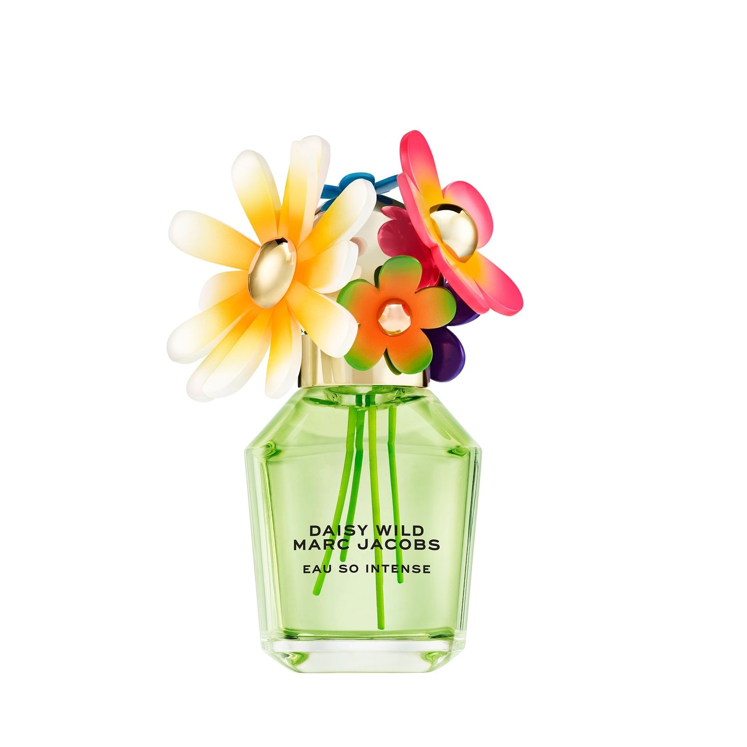DAISY Wild Eau de Parfum Intense