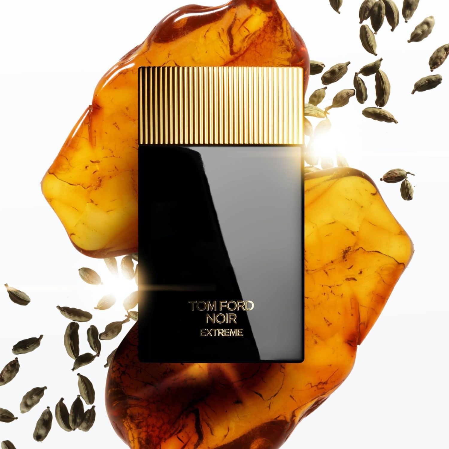 Noir Extreme Parfum