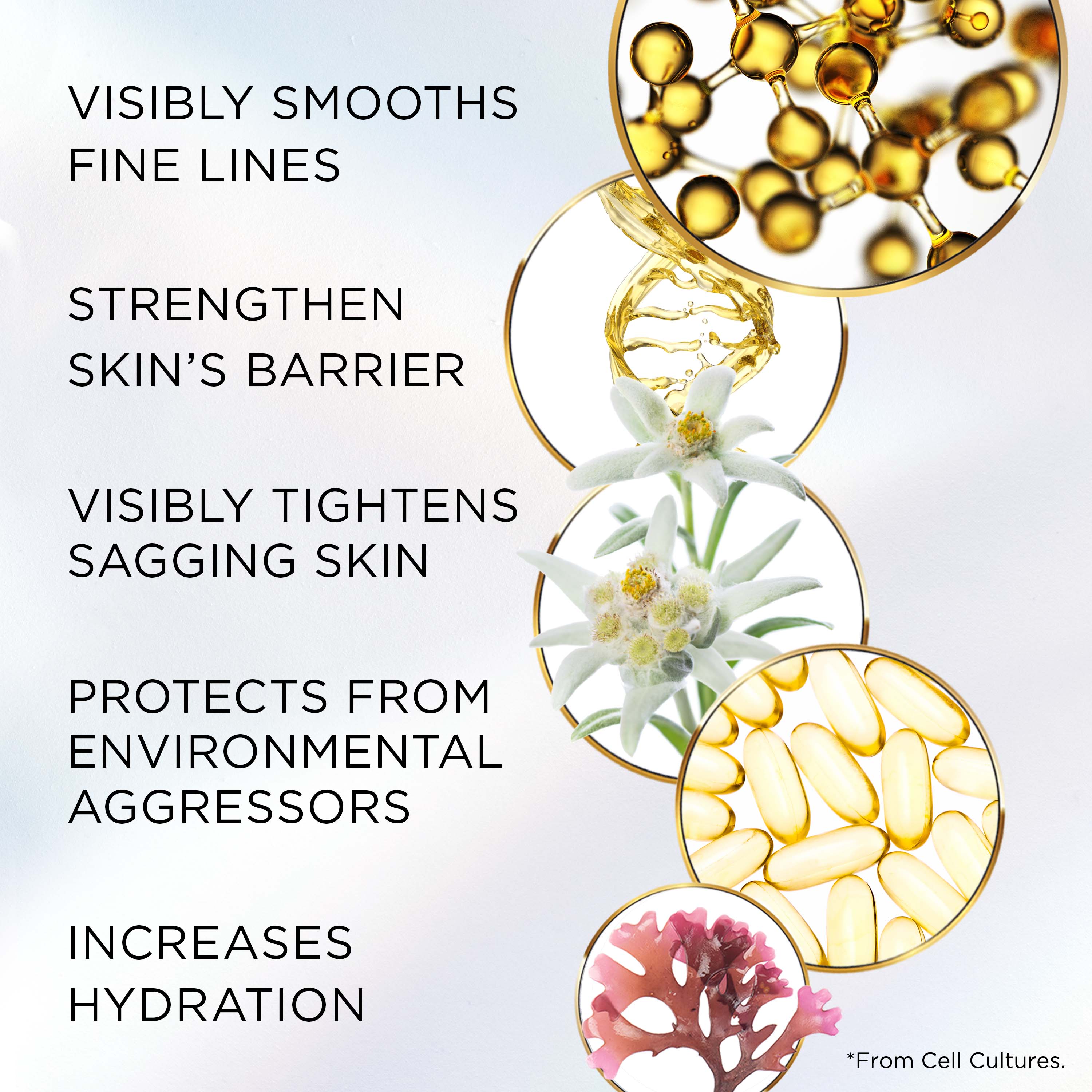 Adv. Ceramide Lift & Firm Night Cream