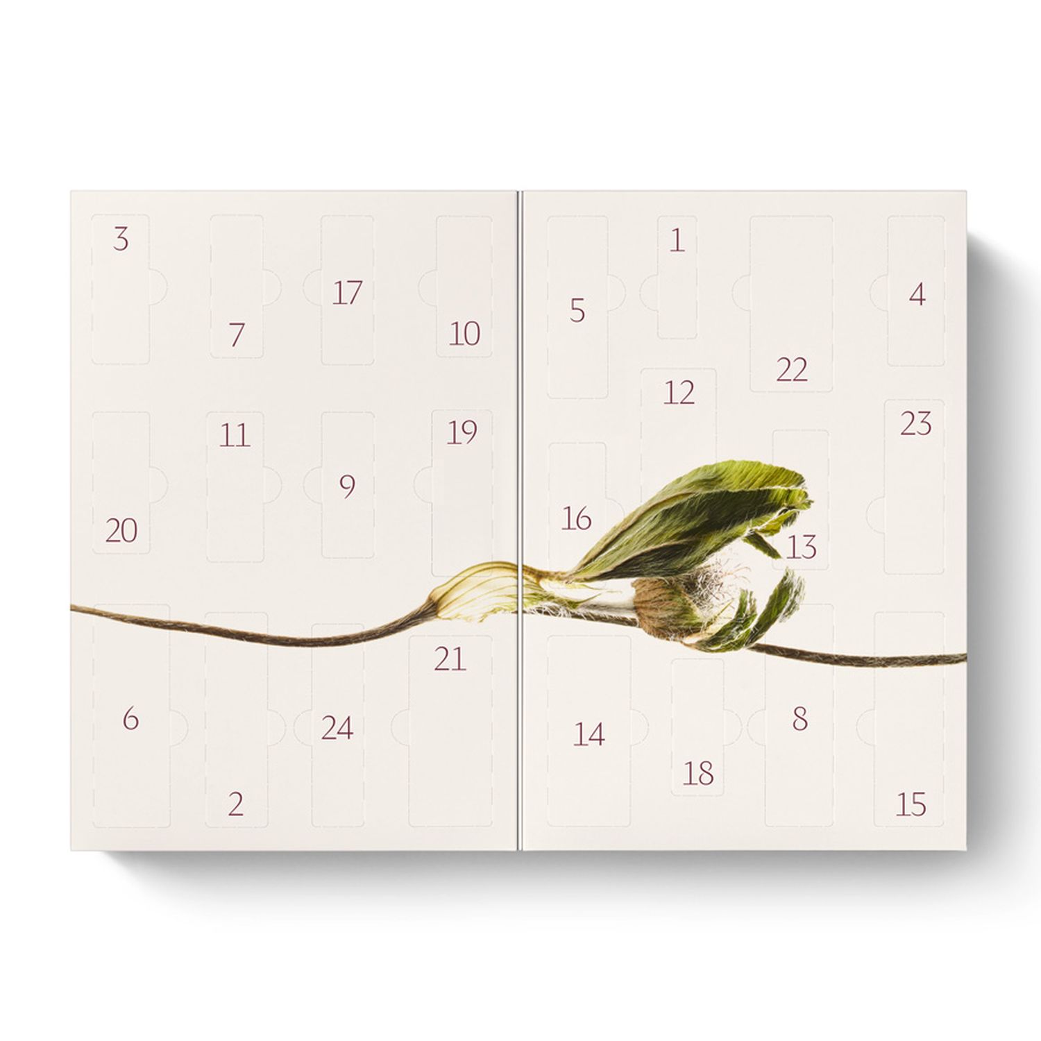 Adventskalender 2026