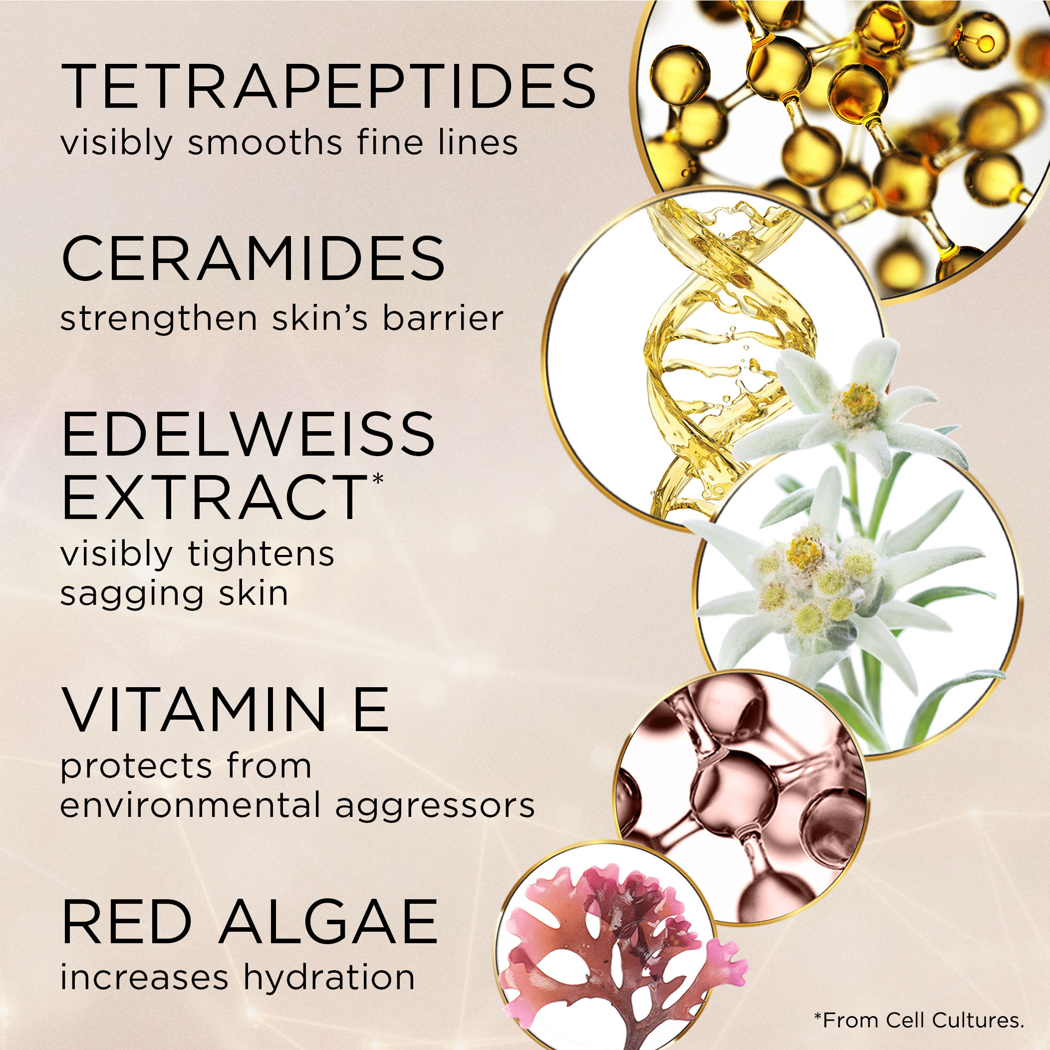 Adv. Ceramide Lift & Firm Eye Cream