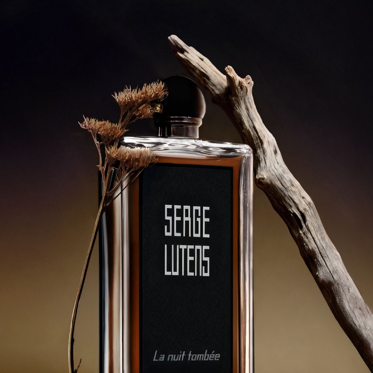 La nuit tombée Eau de Parfum