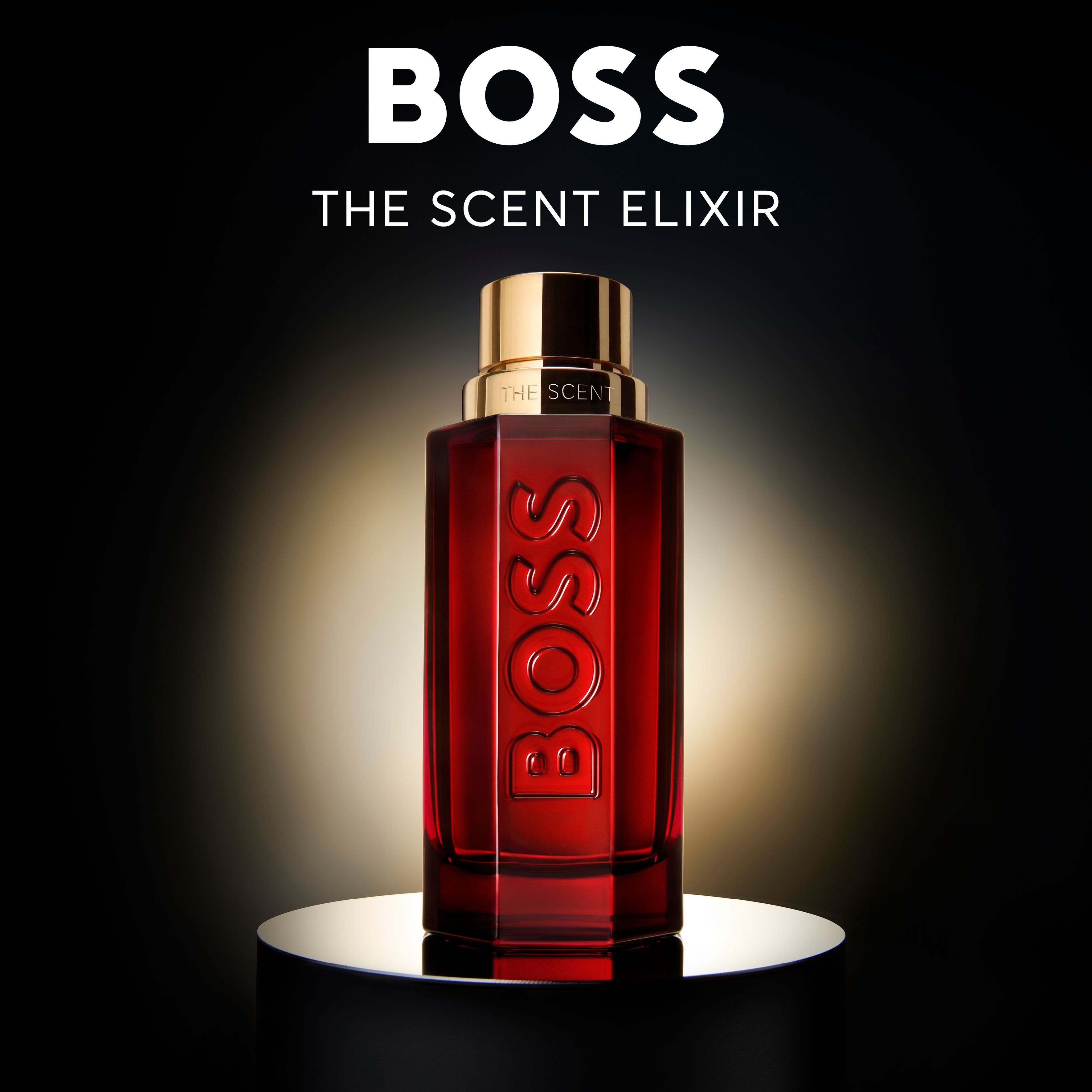 Boss The Scent Elixir Parfum Intense for Him