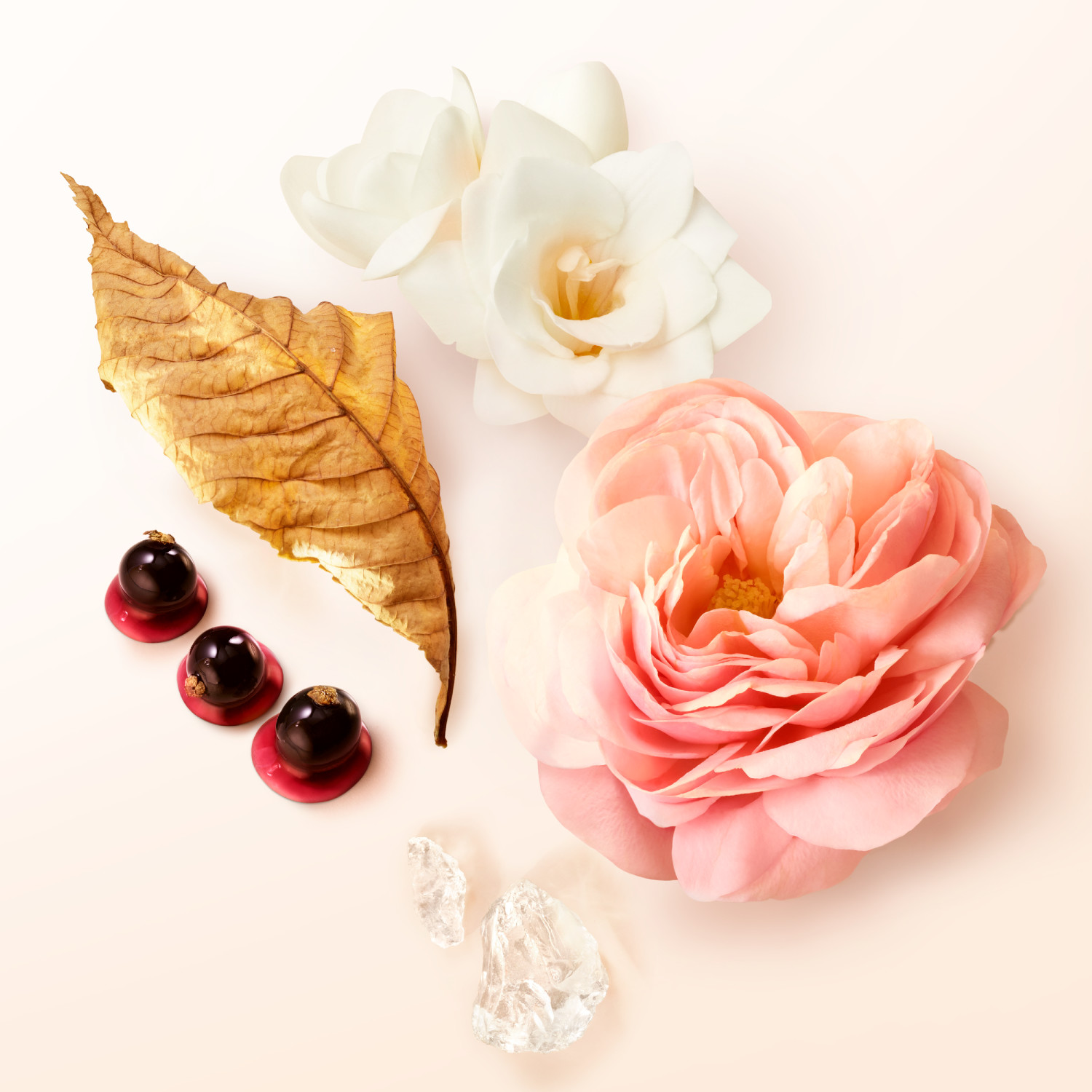 Sí Eau de Parfum Refill