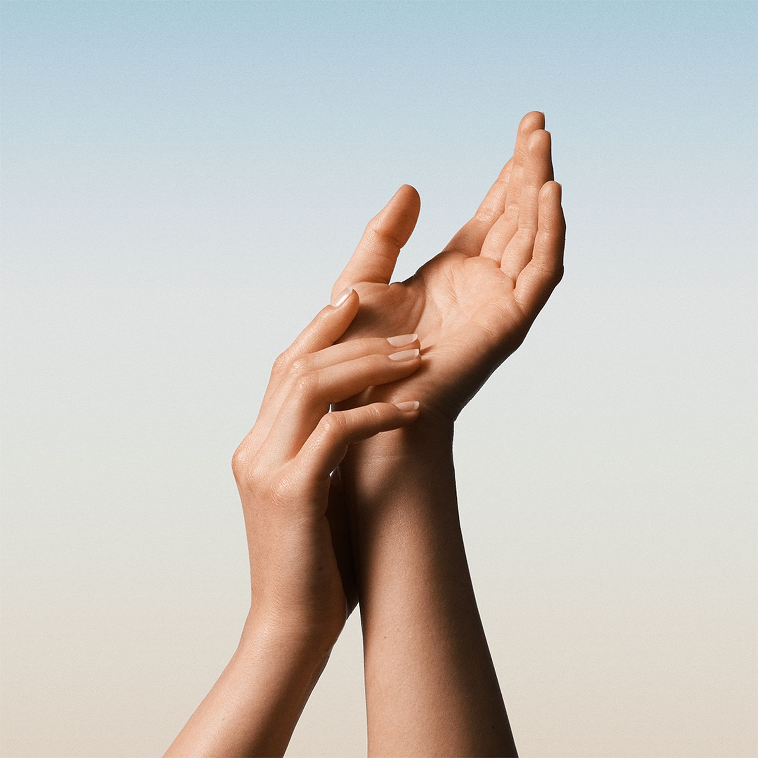 Hand Purifying Gel