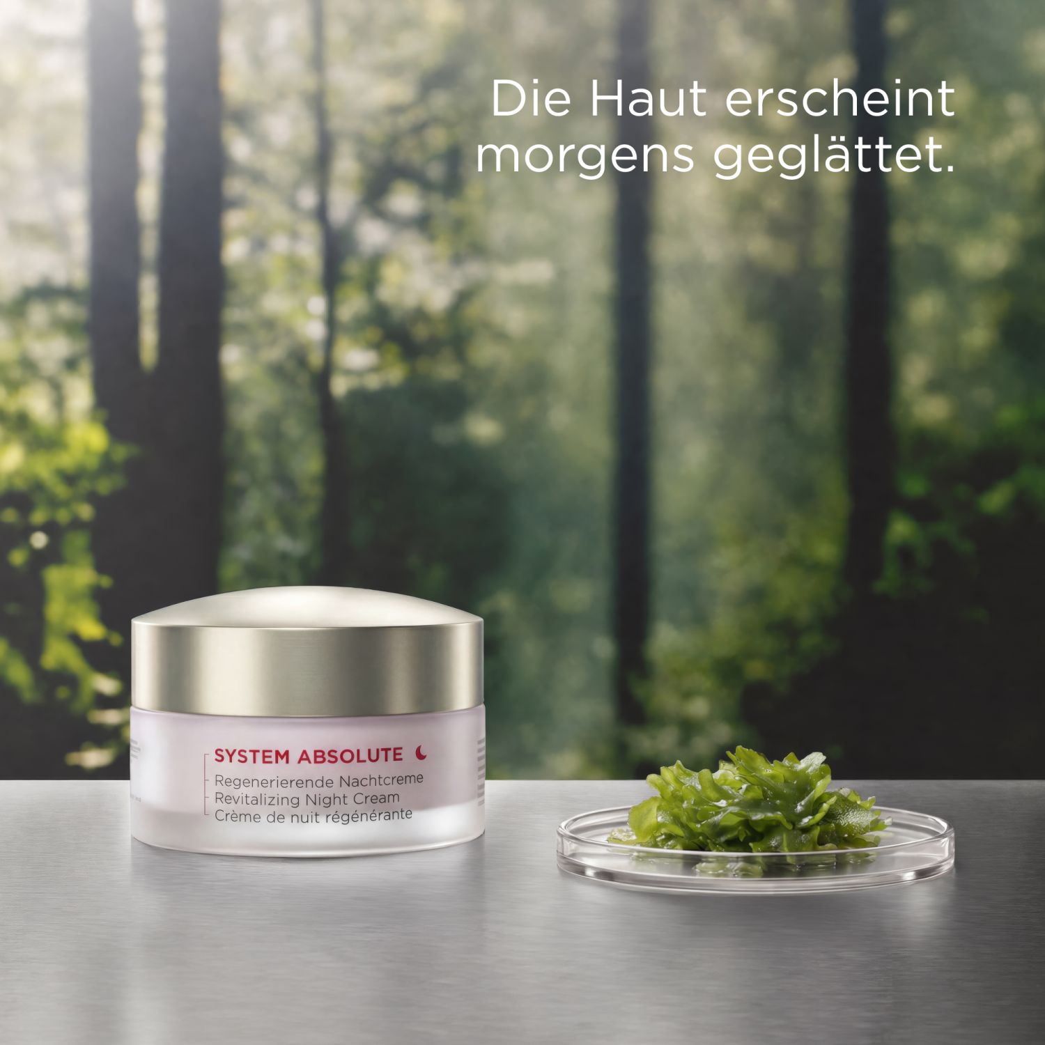 SYSTEM ABSOLUTE Regenerierende Nachtcreme