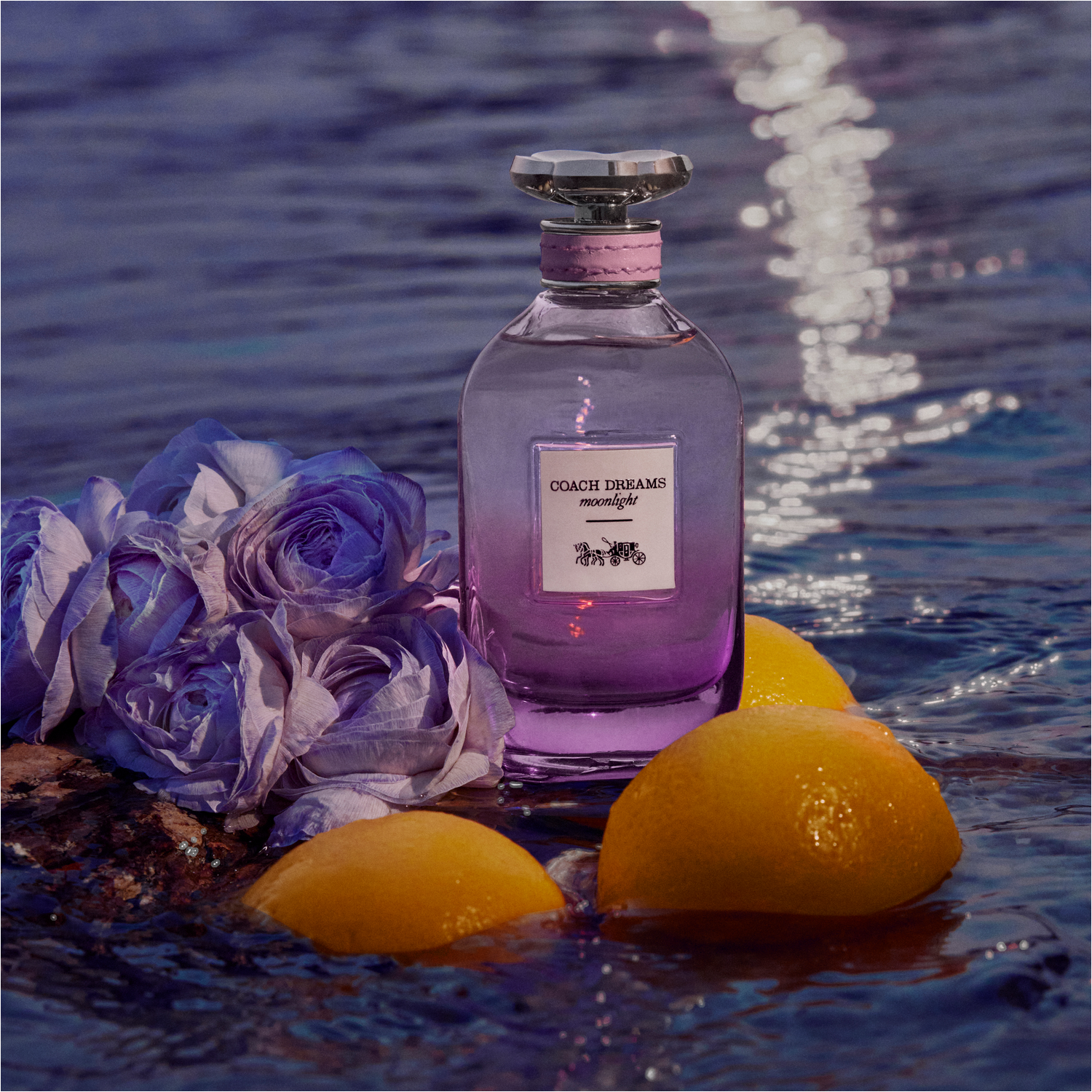 Dreams Moonlight Eau de Parfum