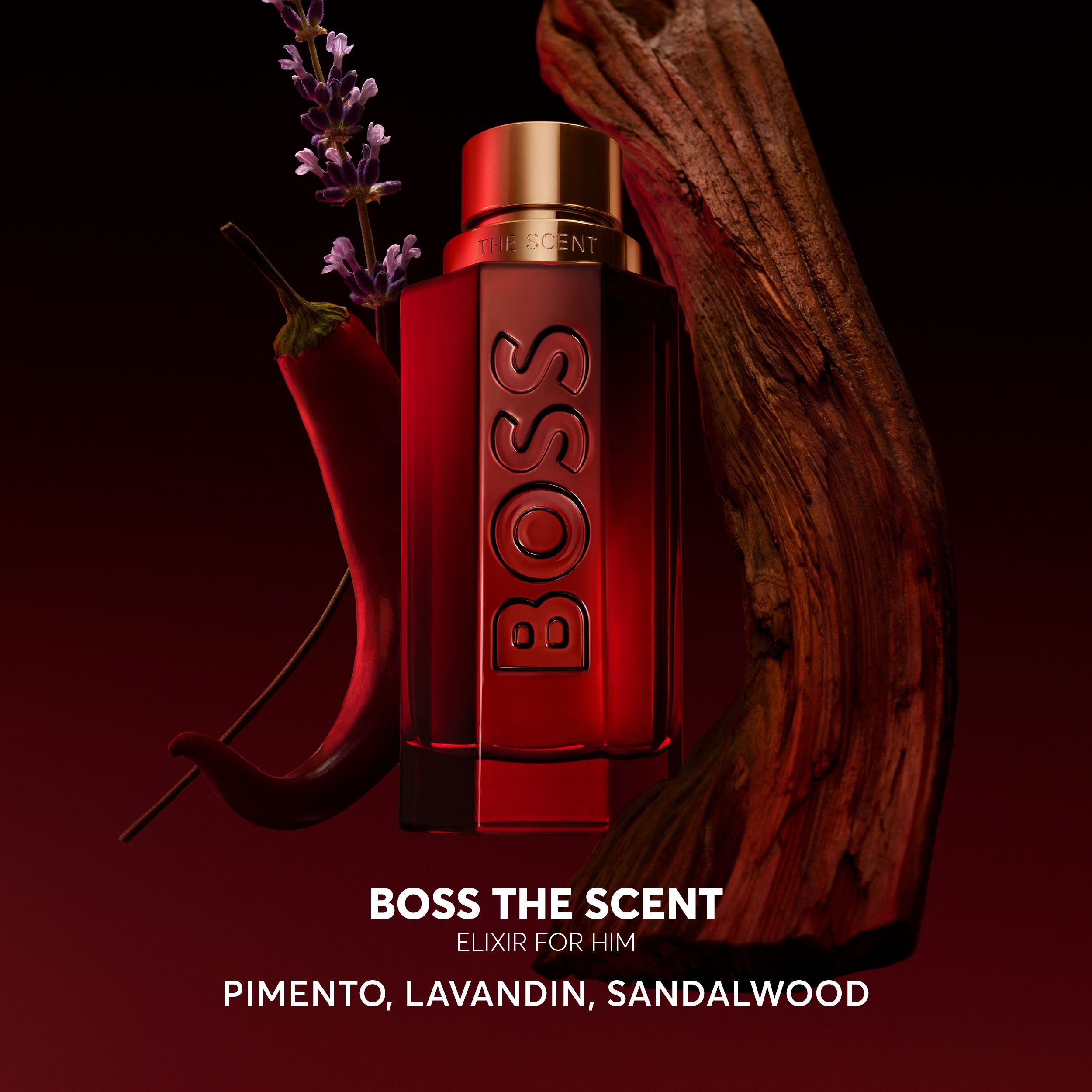 Boss The Scent Elixir Parfum Intense for Him