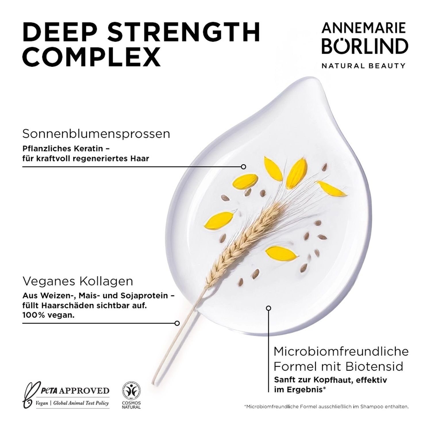 Hair Care REPAIR SHAMPOO