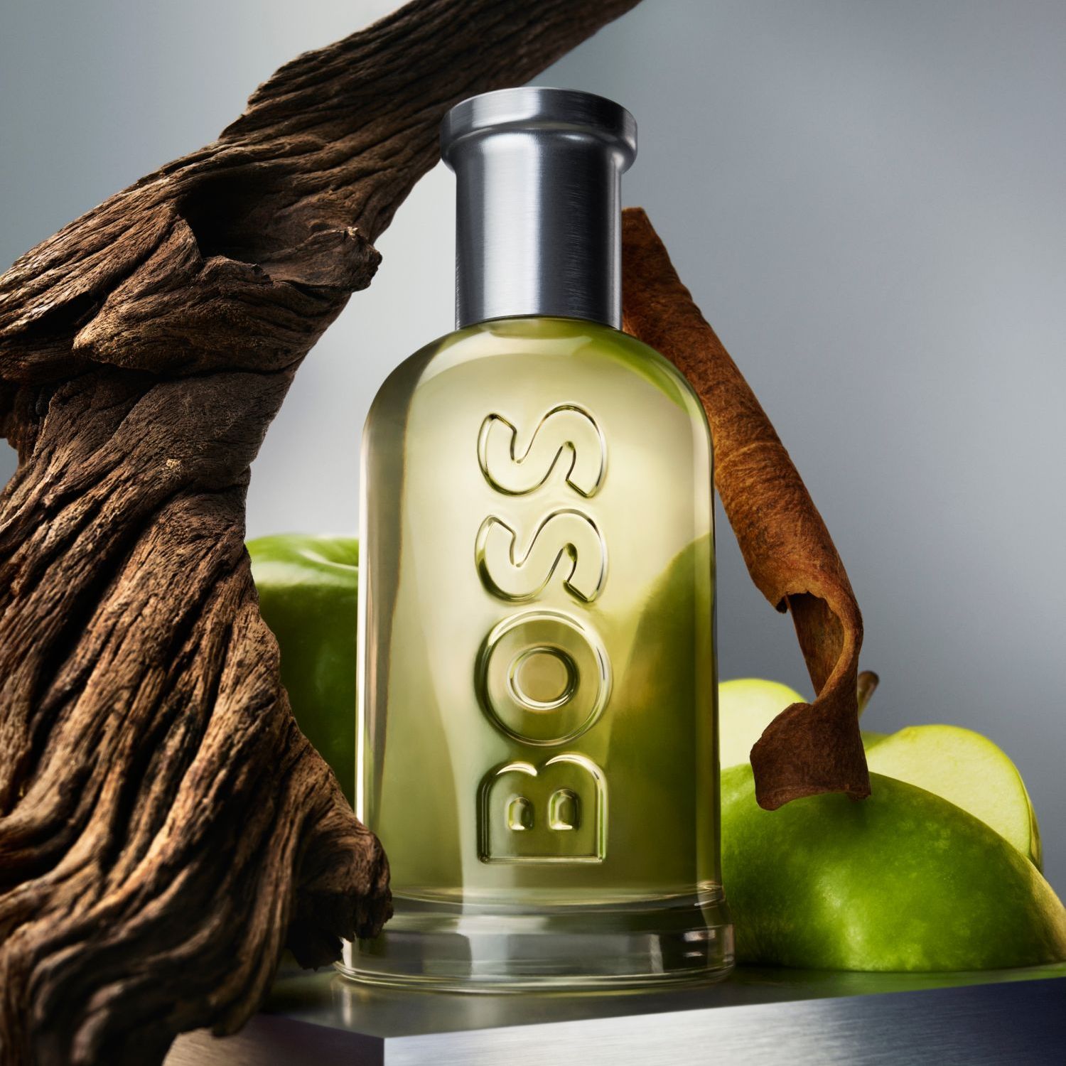 Boss Bottled EdT NS 100ml